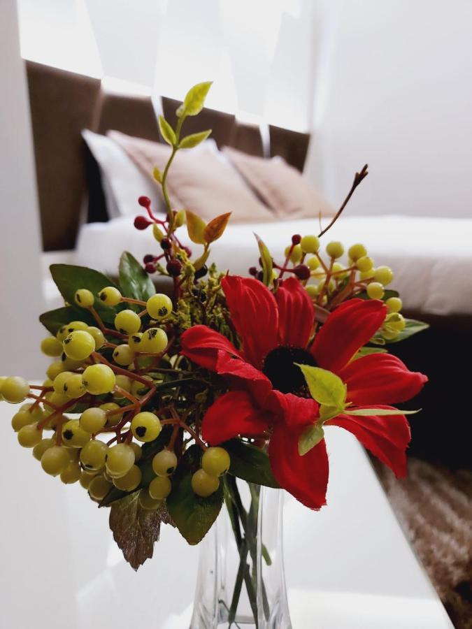 New W Hotel Тирана Екстер'єр фото